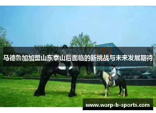 马德鲁加加盟山东泰山后面临的新挑战与未来发展期待